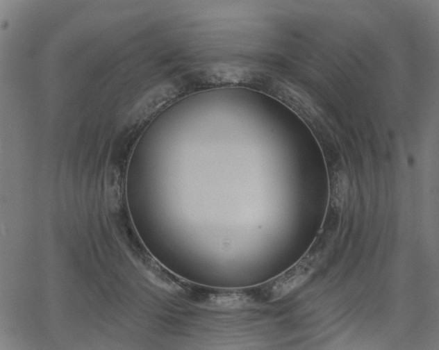 X0000066010414200603061302