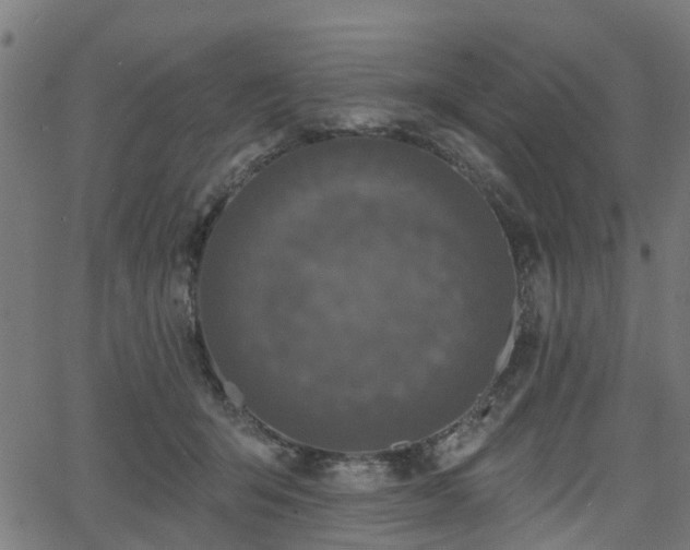 X0000066010415200603061302