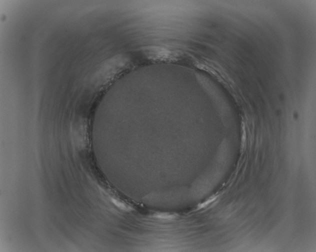 X0000066010416200603061302