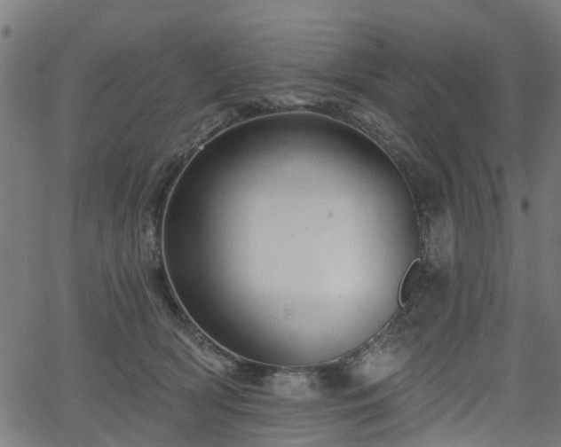 X0000066010418200603061302