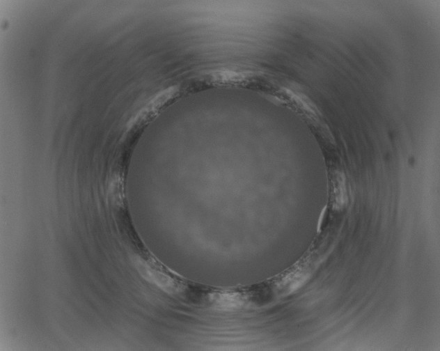 X0000066010419200603061302