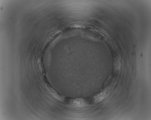 X0000066010420200603061302