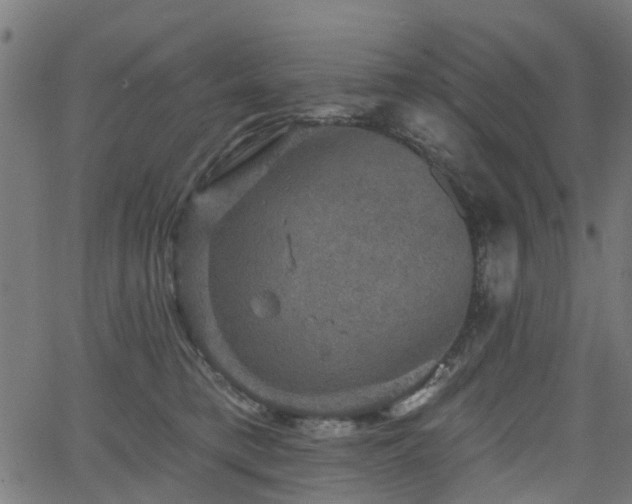 X0000066010421200603061302