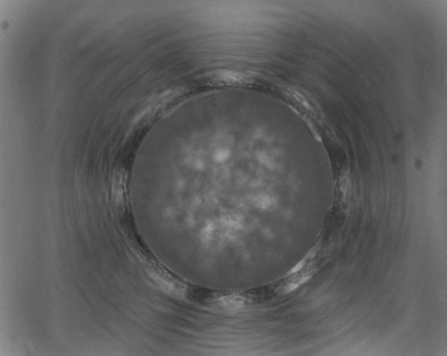 X0000066010423200603061302