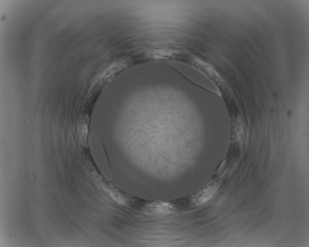 X0000066010427200603061302