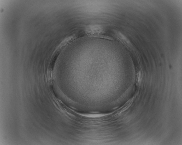 X0000066010429200603061302