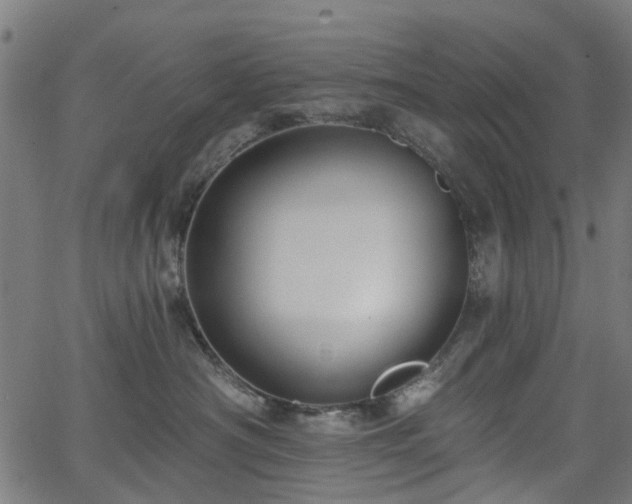 X0000066010430200603061302