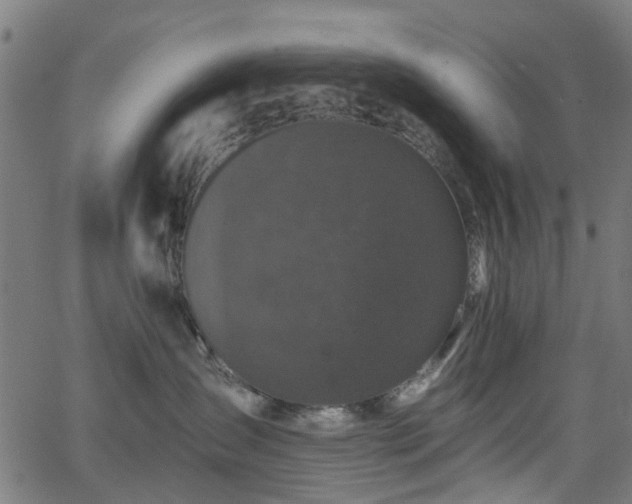 X0000066010431200603061302