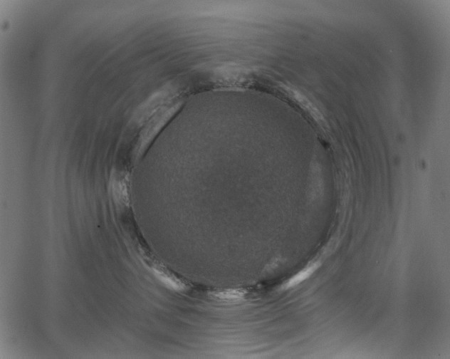 X0000066010432200603061302