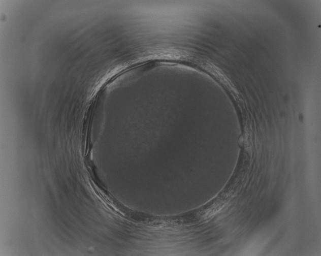 X0000066010434200603061301