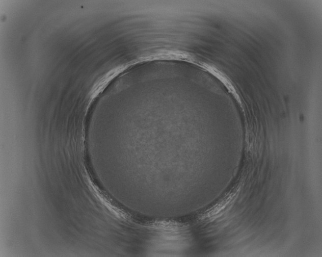 X0000066010437200603061301