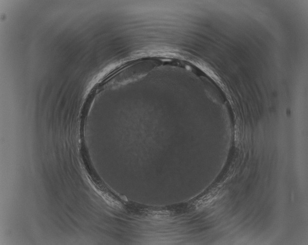 X0000066010438200603061301