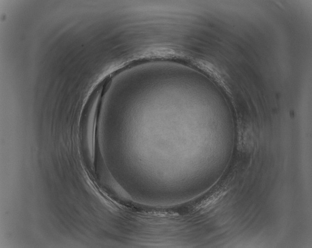 X0000066010439200603061301