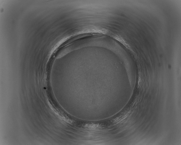 X0000066010440200603061301