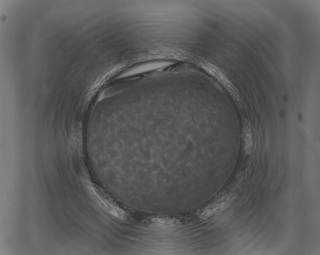 X0000066010442200603061301