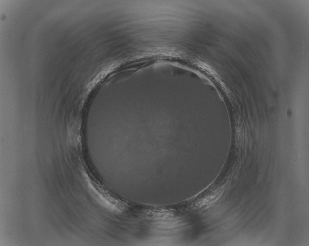 X0000066010443200603061301