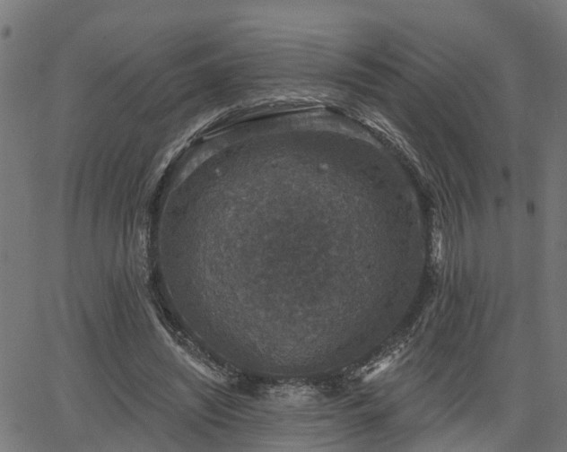 X0000066010444200603061301