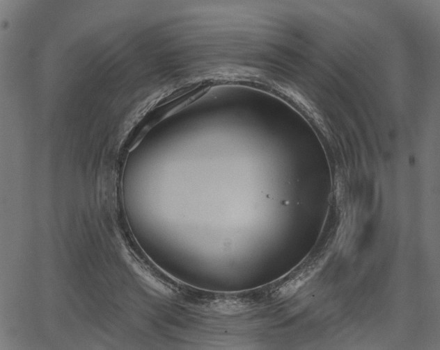 X0000066010445200603061301