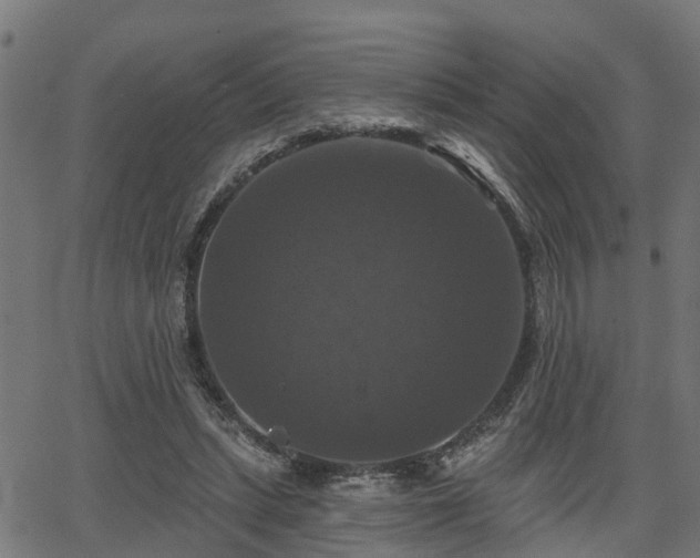 X0000066010447200603061301