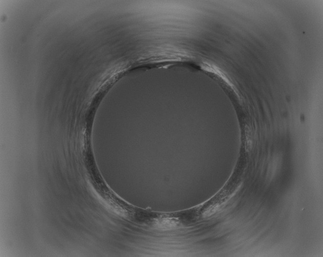 X0000066010451200603061301