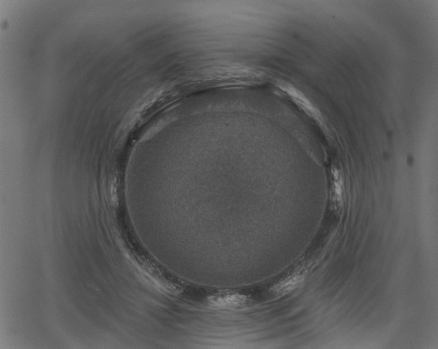 X0000066010452200603061301