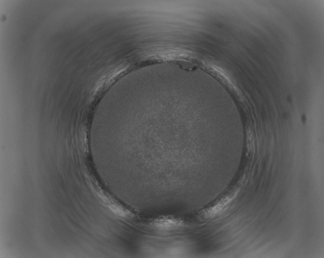 X0000066010453200603061301