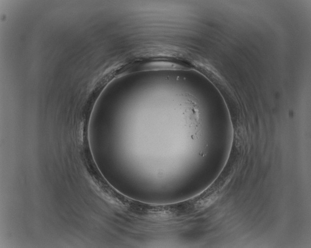 X0000066010454200603061302