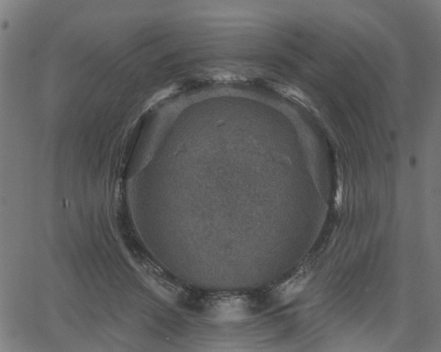 X0000066010456200603061302