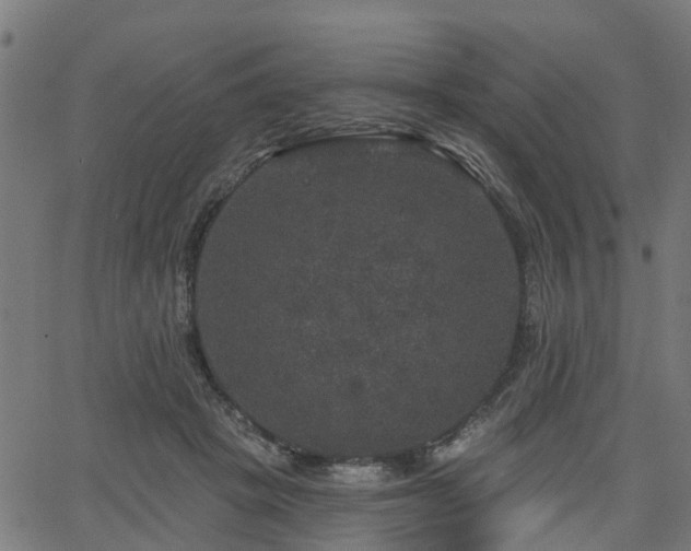 X0000066010457200603061302