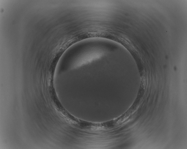 X0000066010458200603061302