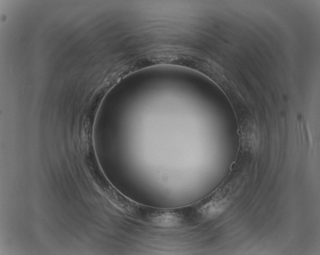 X0000066010460200603061302