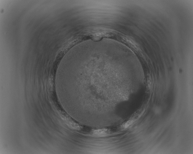 X0000066010461200603061302