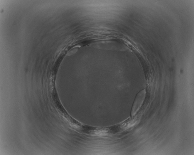 X0000066010462200603061302