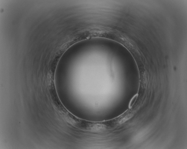 X0000066010463200603061302