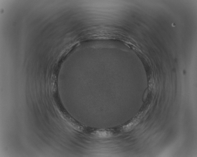 X0000066010464200603061302