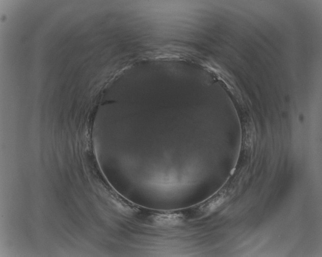 X0000066010465200603061302