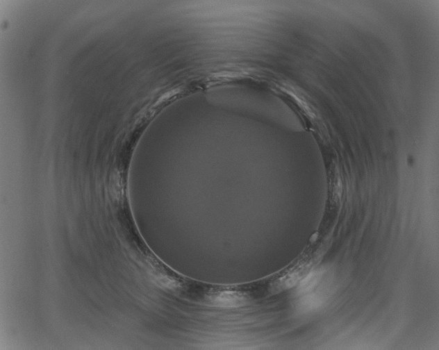 X0000066010467200603061302