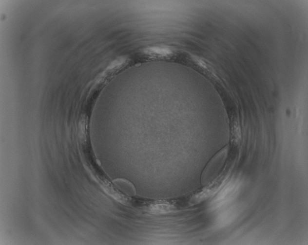 X0000066010468200603061302