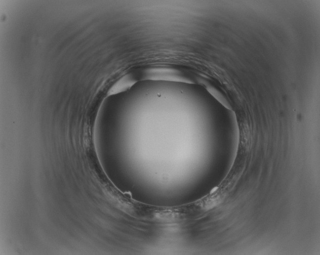 X0000066010470200603061302