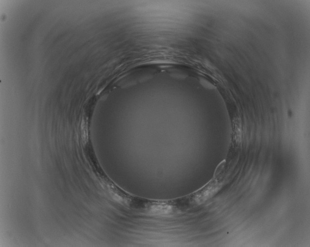 X0000066010471200603061302