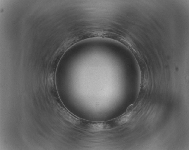 X0000066010473200603061302