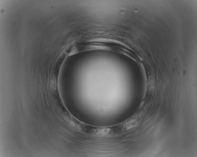 X0000066010474200603061302