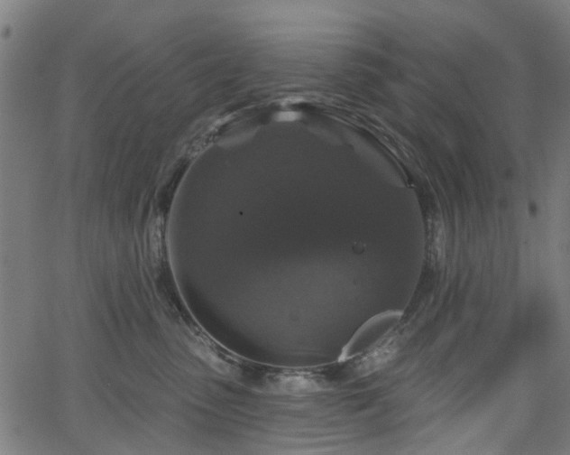 X0000066010475200603061302