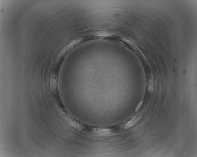 X0000066010476200603061302