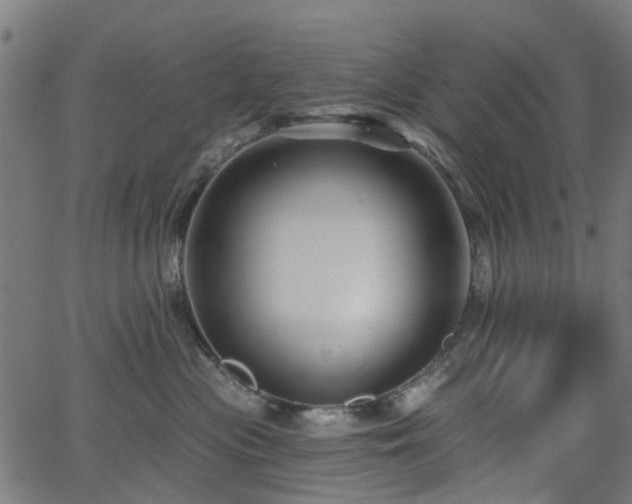 X0000066010477200603061302