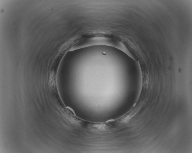 X0000066010478200603061302