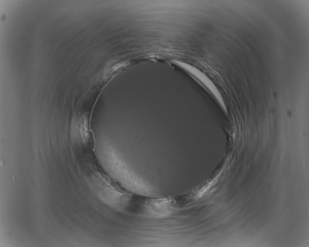 X0000066010479200603061302