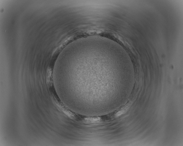 X0000066010480200603061302