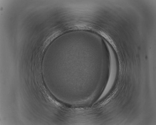 X0000066010481200603061301