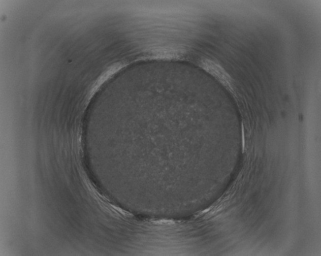 X0000066010483200603061301